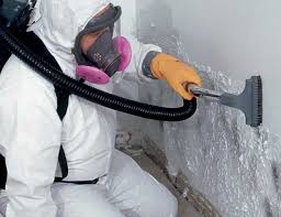 Professional Mold Inspection in Mount Airy, MD